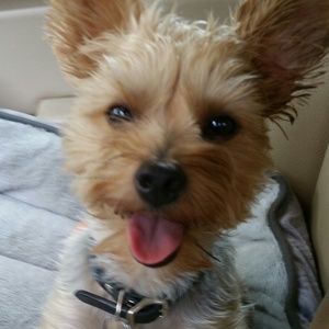 Meet your Posher, Amanda